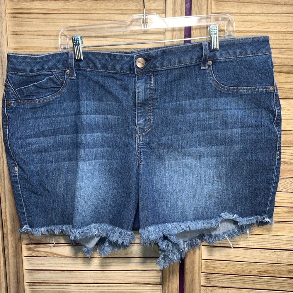 AG Denim Blue Jean Shorts Women's Plus Size 24W